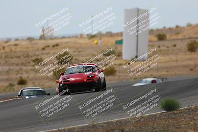 media/May-03-2025-Lucky Dog Racing (Sat) [[206de64b9d]]/Turn 6 (150pm-230pm)/